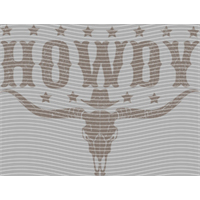 Country music-CM-375